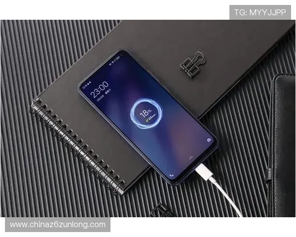 掌握Z6下载登录技巧提升游戏体验实现快速登录与高效游戏操作